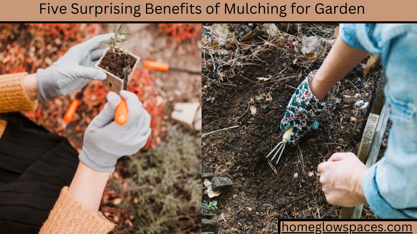 Five Surprising Benefits of Mulching for Garden