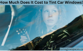 How Much Does Tinting Car Windows Cost?